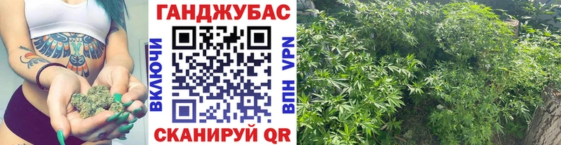 Шишки марихуана индика  Лахденпохья 